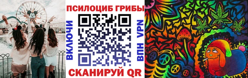 Псилоцибиновые грибы GOLDEN TEACHER  Тверь 