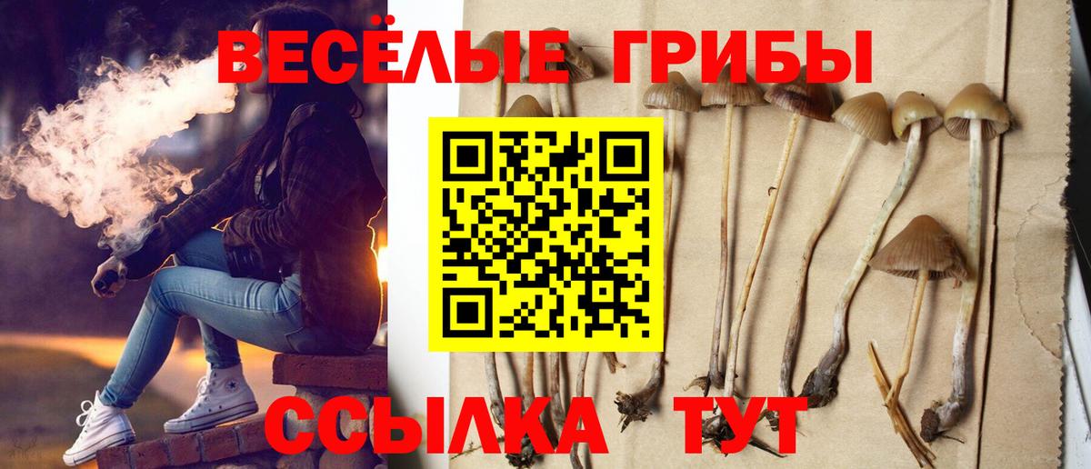 Тверь  Псилоцибиновые грибы GOLDEN TEACHER  Вход с VPN 